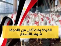 عاجل: صدمة الدواجن تضرب مصر في رمضان... ارتفاع جنوني 35% والبيض يقفز لـ118 جنيه!