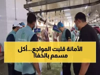 عاجل: أمانة جدة تسحق شبكة أغذية فاسدة… ضبط 1.1 طن لحوم وأسماك متعفنة داخل مبنى مهجور!