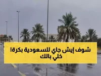 عاجل: عاصفة رعدية تضرب 7 مناطق في المملكة غداً... أمطار وبرد ورياح تصل لـ50 كم/ساعة!