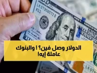 عاجل: الدولار يحطم حاجز الـ49 جنيه لأول مرة - أي بنك يقدم أفضل سعر للمصريين؟