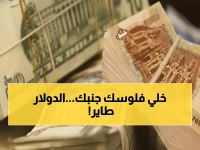 عاجل: الدولار يخترق حاجز الـ50 جنيه لأول مرة منذ 8 أشهر... والمفاجأة في أسعار اليوم!