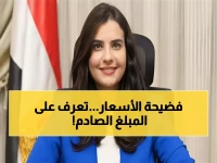 عاجل: النائبة سحر البزار تفضح الارتفاع الجنوني في أسعار تذاكر الطيران... مئات الآلاف للعودة للوطن!