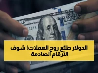عاجل: الدولار ينفجر لأعلى مستوى منذ 2024… أزمة النفط تدمر العملات العالمية!