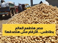 عاجل: مصر تعلن الكمية الصادمة للبطاطس الجاهزة للتصدير… أرقام قياسية في 2025 تفتح أسواقاً عالمية جديدة!
