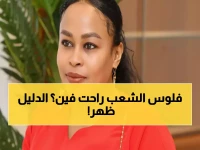عاجل: فضيحة 'شيكان للتأمين'... توقيعات مزورة وتحويلات مشبوهة بالملايين - الوثائق تكشف أخطر عملية نهب في تاريخ الشركات الحكومية!