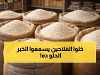 عاجل: مصر تستعد لثورة زراعية… أصناف أرز سوبر تنتج 5.5 طن وتوفر 50% من المياه!