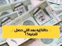 عاجل: الريال السعودي يحطم الجنيه المصري... 1000 ريال تساوي 14 ألف جنيه والخبراء يتوقعون المزيد!