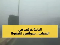 عاجل: الأرصاد تحذر من ضباب خطير يحجب الرؤية بالباحة... السفر ممنوع حتى الأربعاء!