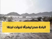 شاهد بالفيديو.. الباحة تتحول إلى "قطعة من أوروبا" بعد سيول تاريخية غطت الجبال باللون الأخضر!