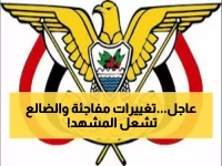 عاجل: العليمي يعين 3 محافظين جدد في قرارات مفاجئة... والضالع تحصل على قائد أمني بـ3 مناصب!