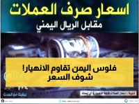 عاجل: الريال اليمني يحافظ على استقراره التاريخي - الدولار بـ1558 والسعودي 410!