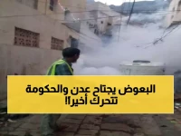 عاجل: حملة استثنائية لمكافحة البعوض تجتاح أحياء صيرة… هل تنقذ عدن من كارثة صحية؟
