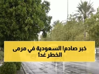عاجل: عاصفة تدميرية تضرب 4 مناطق سعودية غداً... الأرصاد تحذر من سيول وصواعق خطيرة!