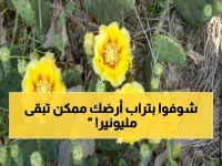 عاجل: أقل من 2000 فدان فقط في ميزوري! هل أرضك تحتوي على كنز طبيعي نادر؟