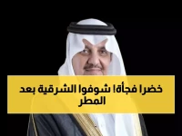 بالصور: أمطار العيد تحوّل الشرقية لجنة خضراء... والمفاجأة في الكميات!