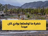 شاهد: الأمطار تُحيي "وادي الحمدة" من الموت... تحول سحري يجذب آلاف السياح للباحة!