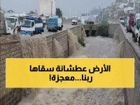 عاجل: أمطار أبين الغزيرة تُحيي 'معجزة زراعية' بعد الجفاف... المزارعون: 'انتظرنا هذا 5 أشهر'!