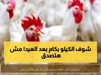 عاجل: انهيار جنوني في أسعار الفراخ بمصر... 20 جنيه تراجع بعد العيد والمواطنون في صدمة!