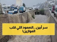 ما لم تره عيون العالم على أبين: سر صمودها خلال شهور من الجفاف انتهى بلحظة واحدة بقوة تحويلية ساحرة