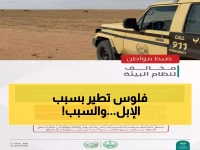 صادم: مواطن يدفع 25 ألف ريال غرامة بسبب 50 جمل في محمية الملك عبدالعزيز!