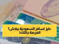 عاجل: السعودية تطلق منحة سياحية ثورية تصل لـ 90 يوماً... التفاصيل الكاملة للحصول عليها!