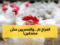 عاجل: أسعار الفراخ البيضاء تقفز لـ 120 جنيه... والمواطنون في صدمة من الارتفاع الجديد!