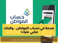 عاجل: دليل حساب المواطن 1447 عبر النفاذ الوطني... خطوات سرية يخفيها البنك عنك لضمان أقصى دعم!