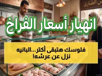 عاجل: البانيه ينهار.. انخفاض صادم في الأسعار والكيلو يهبط لـ240 جنيهًا!