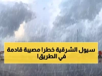 عـاجل: إنذار أحمر وأعلان حالة الطوارئ في الشرقية والأحساء! سيول جارفة تبتلع الطرق ومفاجأة 'سوداء' في انتظاركم الساعات القادم!