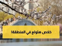 عاجل: إيران تدمر طائرات أمريكية في السعودية... هل تندلع الحرب الشاملة؟