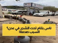 صادم: أسطوانات الغاز تنفد من عدن... اليمنيون يقفون تحت الأشجار في انتظار معجزة!