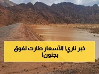 عاجل: انفجار أسعار الأسمدة بنسبة 3.6% خلال يوم واحد... والحكومة تعلن زيادة صادمة 21 جنيهاً!