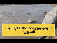 عاجل: مسام يكشف خطر قاتل في اليمن... السيول تحمل الألغام إلى بيوت المدنيين!