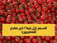 عاجل: مدبولي يكشف مفاجأة صادمة... الطماطم من 50 جنيه إلى 20 جنيه خلال أيام!