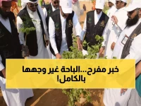 عاجل: الباحة تطلق مشروع التشجير الأضخم - 100 ألف شجرة تغير وجه المنطقة!