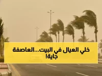 عاجل: عاصفة غبار تضرب 3 مناطق سعودية خلال ساعات... تبوك والجوف والحدود الشمالية في المقدمة!