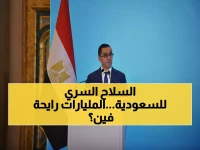 ما الذي قد يدفع المملكة العربية السعودية لتوجيه سلاح استثماري سري بقيمة 41 مليار دولار إلى اتجاه واحد فقط؟