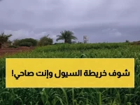 عاجل: خريطة الخطر الأحمر... 15 محافظة يمنية تحت تهديد السيول غداً - تحذير رسمي صادم!