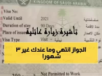 تقرير مصير مليون عائلة بالمملكة أصبح معلقاً على رقم واحد غامض... المديرية العامة للجوازات تضع خط الدفاع الاستراتيجي الجديد عند 90 يومًا فقط لضمان رؤية واضحة للجميع