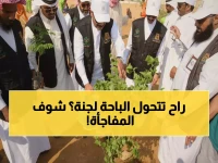عاجل: الباحة تطلق مشروع التشجير الأضخم في تاريخها - 100 ألف شجرة تحول المنطقة لواحة خضراء!