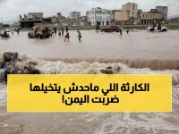 عاجل: الأمم المتحدة تكشف كارثة مدمرة تهدد اليمن… 1.7 مليون رأس ماشية في خطر!