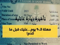 هل تخشى تفويت مهلة تنظيمية سرية تقدر بمئات الآلاف؟.. المديرية العامة للجوازات تقدم الإيضاح الكامل لـ90 يومًا الحاسمة.