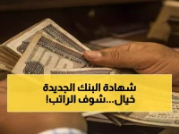 حصري: بنك ناصر يطلق "شهادة سند"… استثمر 200 ألف جنيه واحصل على راتب شهري يصل لـ 12 ألف جنيه!