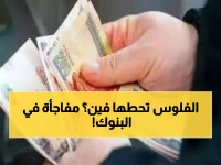 عاجل: مقارنة شاملة لأعلى عوائد شهادات الاستثمار في مصر 2026.. أين تضع أموالك؟