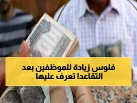 ما هو "النظام التأميني البديل" الذي يمنح موظفيه 2000 جنيه إضافية عند التقاعد؟