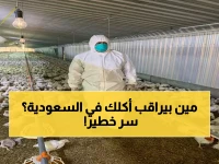 حصري: 263 مراقبًا سريًا يدخلون الخدمة… هؤلاء هم حراس الأمن الغذائي للمملكة الذين سيحمون ثروتك الحيوانية!