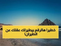 إنذار بقاء من أعلى سلطة جوية.. لكن السر الحقيقي يكمن في رقم واحد مذهل كشفته 'الهيئة العامة للطيران المدني والأرصاد'