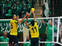 أخضر مفاجأة: رينارد يرفض الخروج.. والاتحاد السعودي يفتح له ملف الاستقالة في صدمة غير متوقعة! (تفاصيل اللقاء الحاسم)