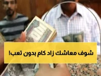 دليل الطوارئ: استعلم عن قيمة معاشك الجديدة في 3 دقائق بخطوة واحدة فقط
