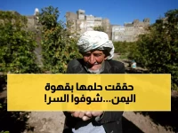 من حقول اليمن إلى قلب أمريكا.. السر وراء طوابير مقهى 'قمرية' للقهوة اليمنية!